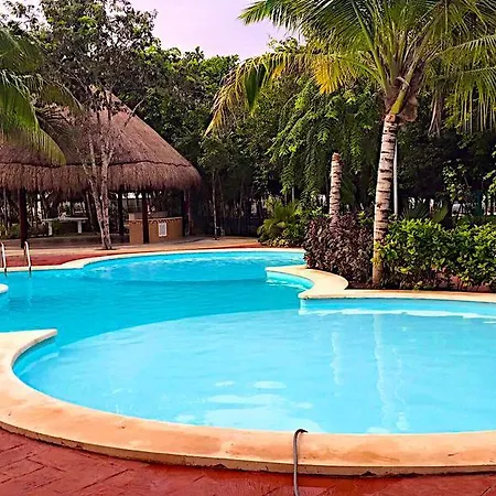 Mango 78 Villa